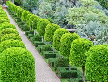 shutterstock_109917782
